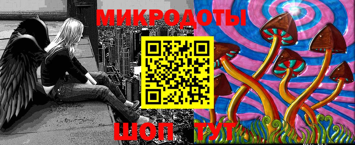 Псилоцибиновые грибы GOLDEN TEACHER Камышин