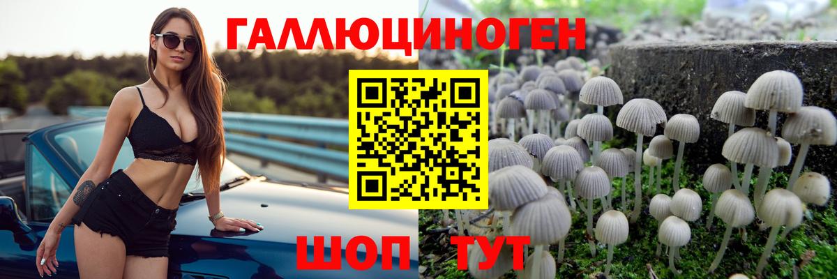 Камышин  Псилоцибиновые грибы ЛСД  Вход с VPN  Галлюциногенные грибы Cubensis 